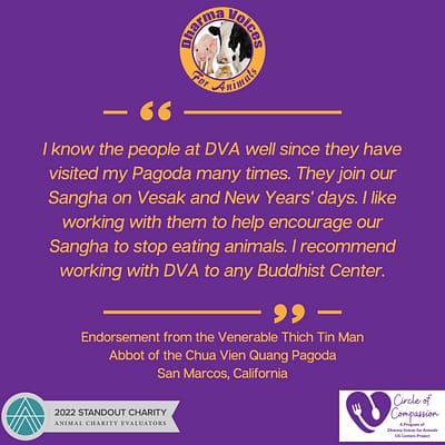 Endorsement from Venerable Thich TIn Man Abbot of the Chua Vien Quang Pagoda
