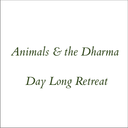 Animals & the Dharma - Day Long Retreat
