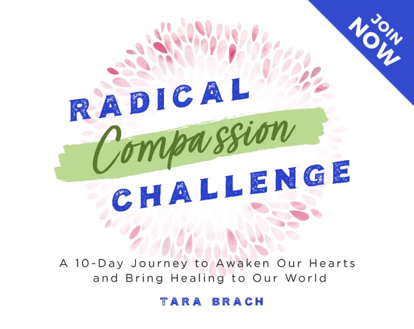 Radical Compassion Challenge