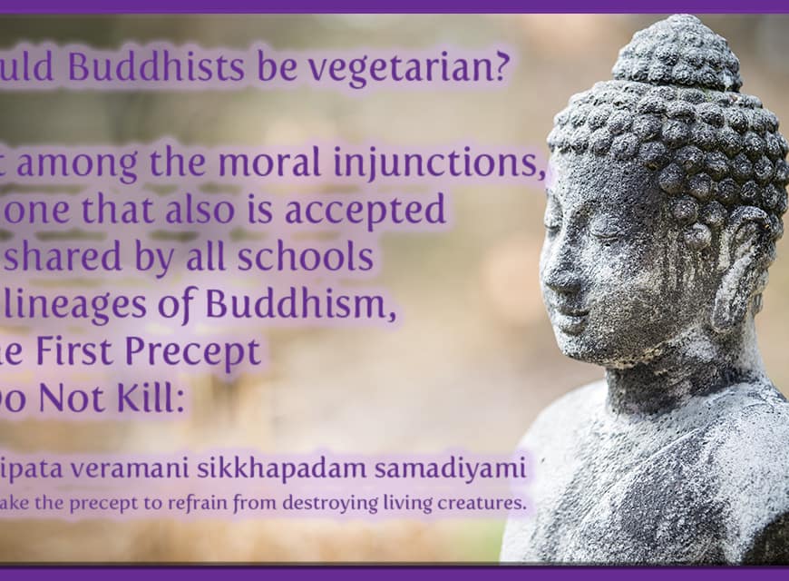 Should a buddhist be a vegetarian?