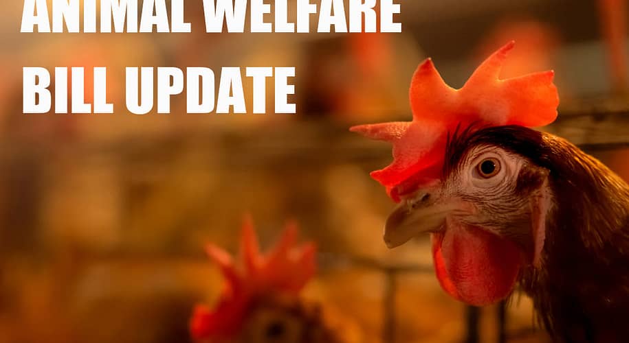 Sri Lanka Animal Welfare Bill Update