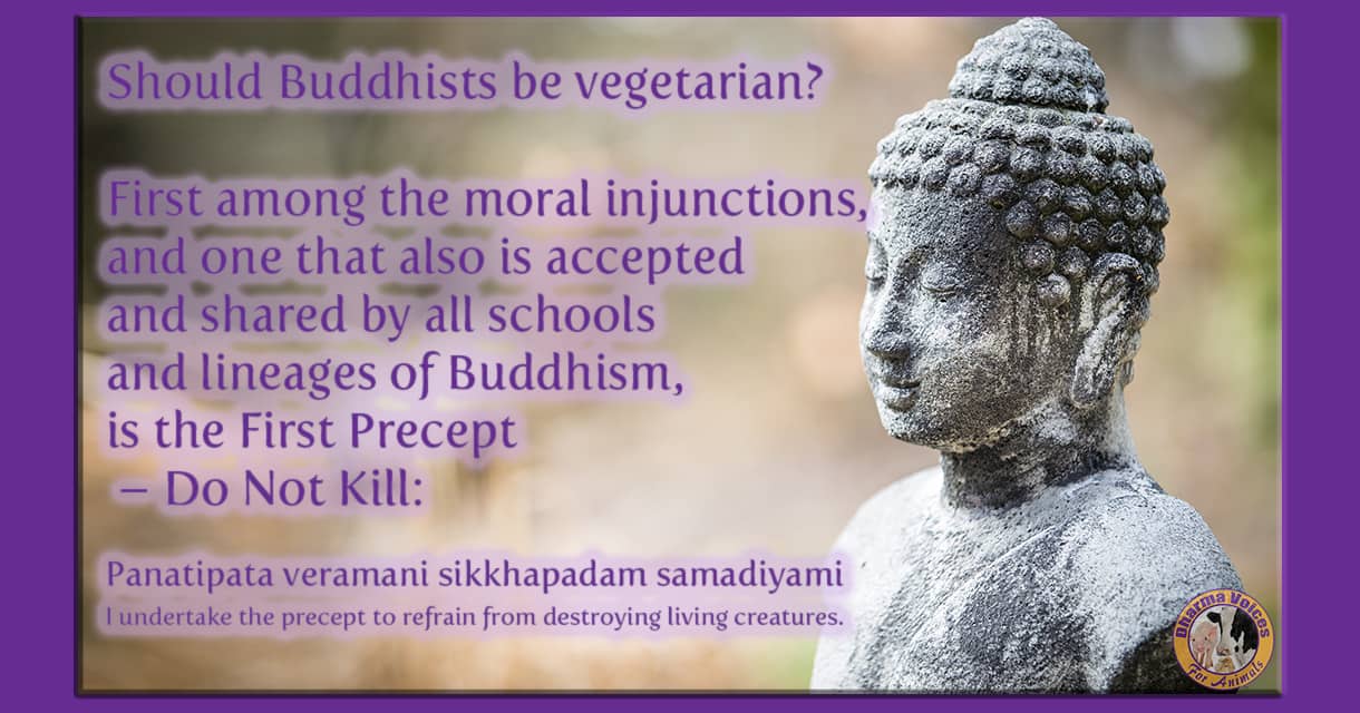 should_a_buddhist be_a_vegetarian